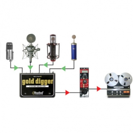 radgold_digger-_4