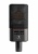 Austrian Audio OC818 Studio Set Large-Diaphragm Multi-Pattern Condenser Microphone (Black)