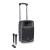 LD Systems Roadbuddy 10 Battery-Powered Bluetooth Speaker with Dual Wireless Handheld Microphone