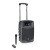 LD Systems Roadbuddy 10 Battery-Powered Bluetooth Speaker with Wireless Handheld Microphone