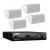 Bose Veritas Cafe Sound System Bundle