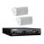 Bose Veritas Outdoor Sound System Bundle